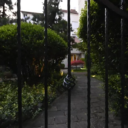 Daire And Blue Garden *