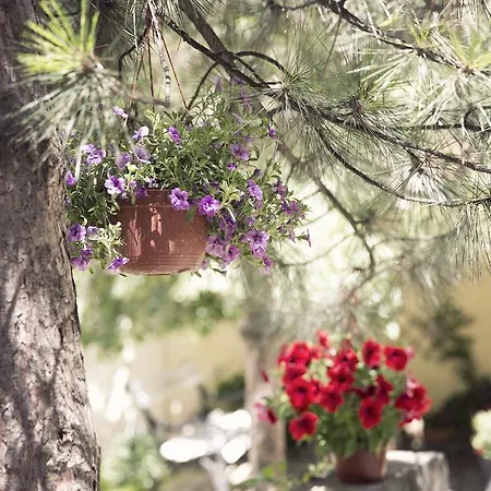 Διαμέρισμα And Blue Garden